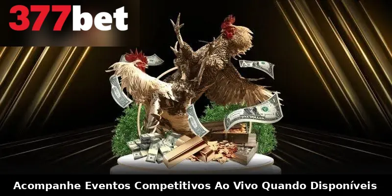Acompanhe Eventos Competitivos Ao Vivo Quando Disponíveis