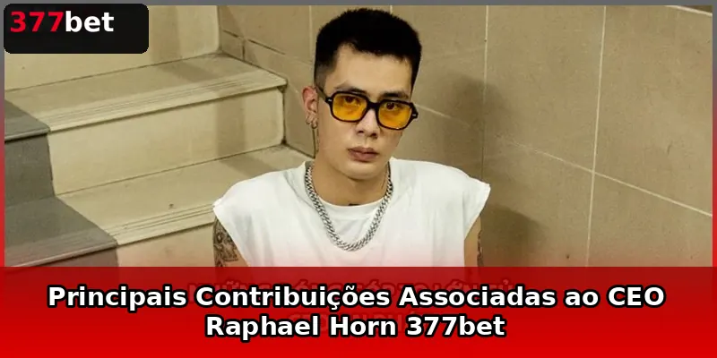 Principais Contribuições Associadas ao CEO Raphael Horn 377bet