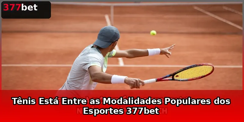 Tênis Está Entre as Modalidades Populares dos Esportes 377bet